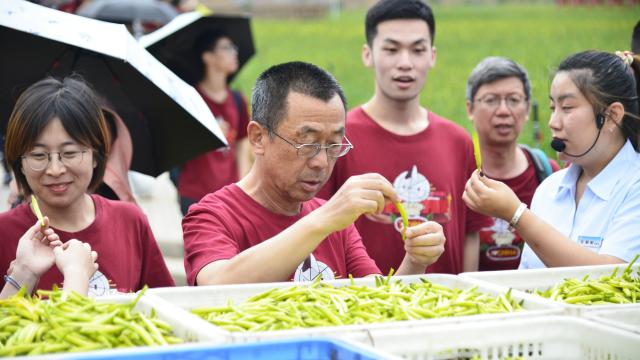 赌博平台